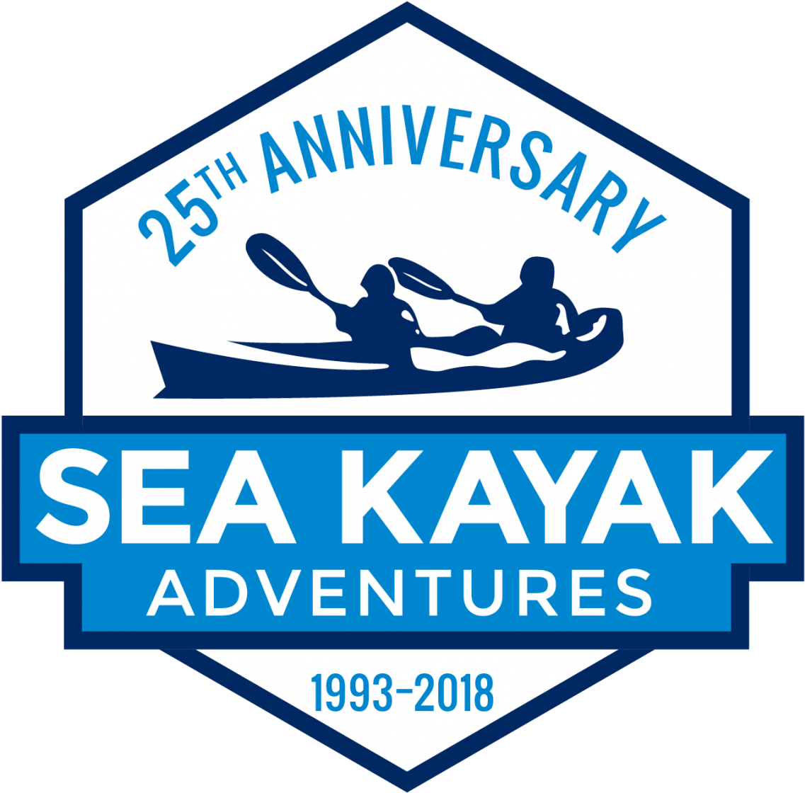 Orcas Near Kayakers In Johnstone Strait - Johnstone Strait (1200x1185), Png Download