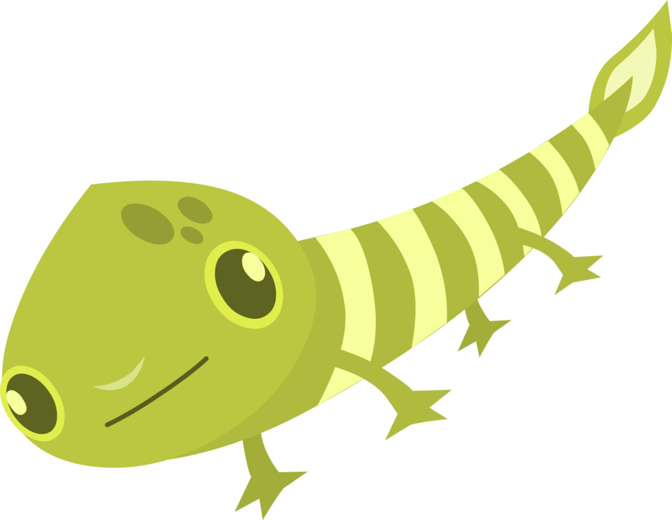 Green Gecko Lizard Computer Icons Animal - ลาย กราฟฟิก สี เขียว (969x750), Png Download
