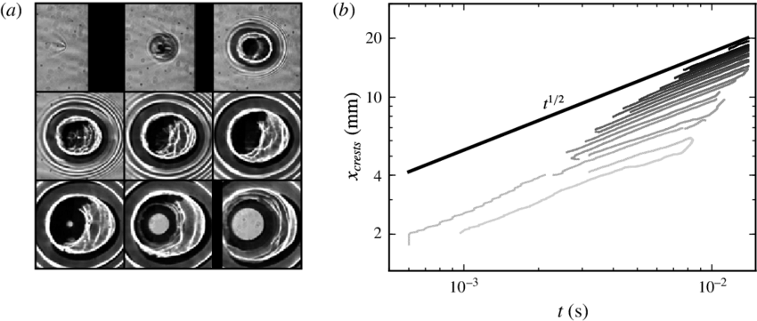 Wave Pattern (and Film Rupture) Generated By A Droplet - Circle (850x361), Png Download