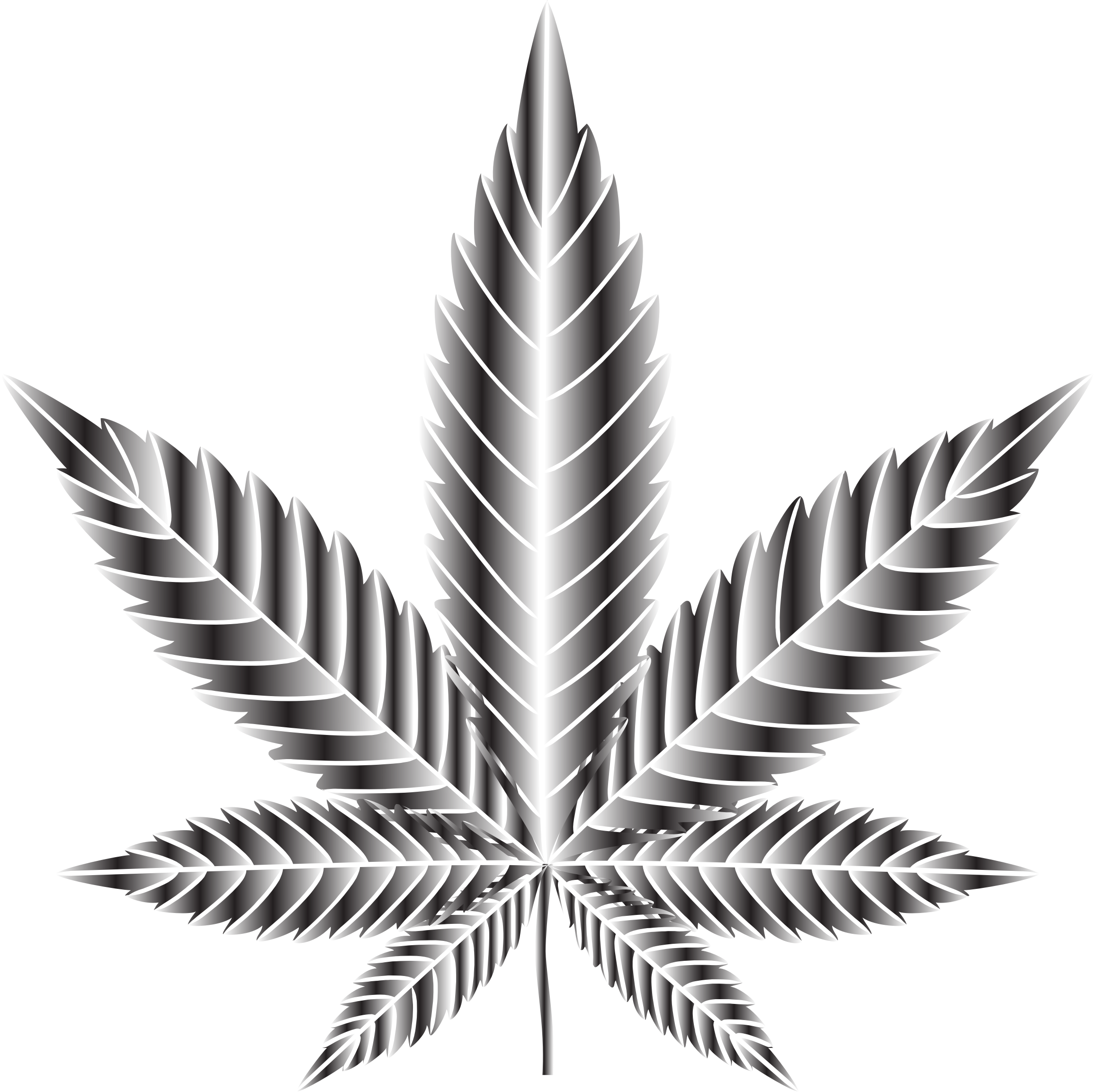 Big Image - Don T Smoke Weed Poster (2310x2306), Png Download