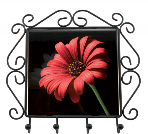 Wrought Iron Frame W/key Hooks - 21 Petals Flower (500x588), Png Download