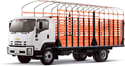 Carrocerías Para Transporte De Todo Tipo De Materiales, - Isuzu (420x294), Png Download