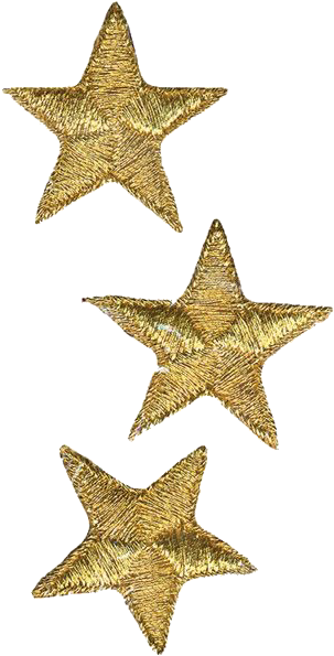 Starfish, Gold Home Accessories, Iron On Applique, - Wrights Iron On Appliques Gold Metallic Stars 1 1 4" (311x600), Png Download