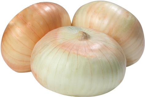 Queen Onion - Cebollas Png (500x335), Png Download