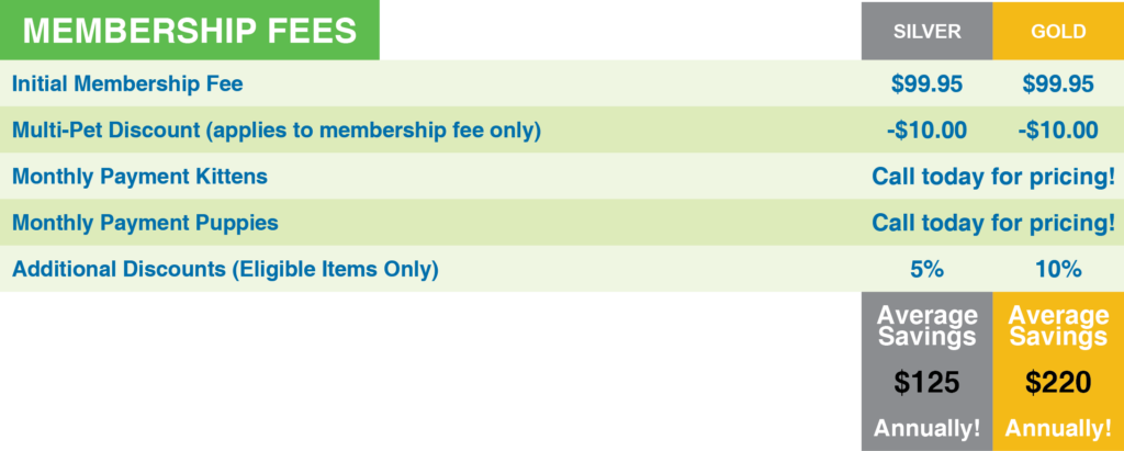 If Your Pet Has Not Been Spayed Or Neutered, There - Kitten (1024x411), Png Download