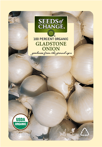 Organic Gladstone White Onion Seeds - Onion, Gladstone Seed Pack (573x573), Png Download