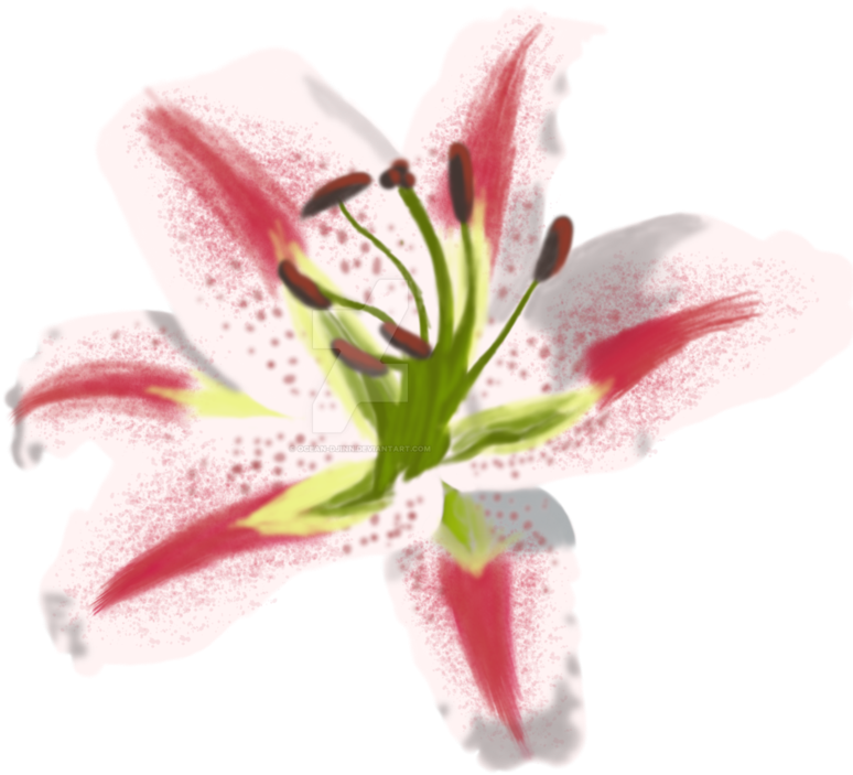 Transparent Stock Oriental Painting Practice By - Lily Painting Png (894x894), Png Download