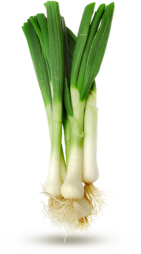 Spring Onion - Leek (310x540), Png Download