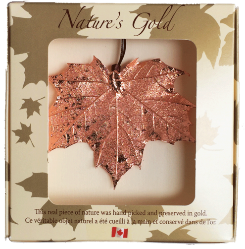 Maple Leaf Ornament - Jewellery (560x560), Png Download