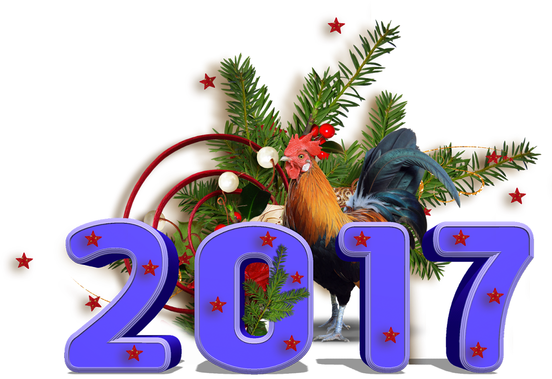 Chelo - Christmas Tree (1600x1131), Png Download