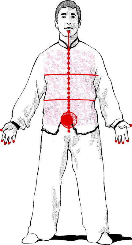 A Fundamental Part In The Training Of Luohan Gong Is - Dan Tien (431x800), Png Download
