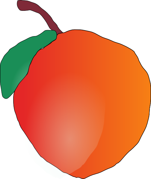Apple Png (504x595), Png Download
