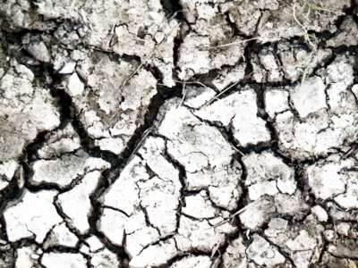 Png Texture Grunge Dirt Grunge Effect Related Keywords - Cracked Dirt Texture (400x300), Png Download