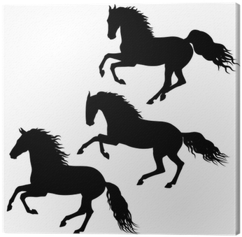 Black Running Horses Silhouettes On White Canvas Print - Caballos Corriendo En Blanco Y Negro (400x400), Png Download