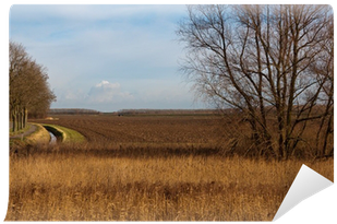 Autumnal Landscape With A Plowed Field And Bare Trees - Savanna (400x400), Png Download