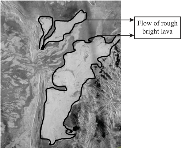 D - \2017\all Work\physics\harsh\22 - 02 - 2017\ - Grizzly Bear (590x483), Png Download