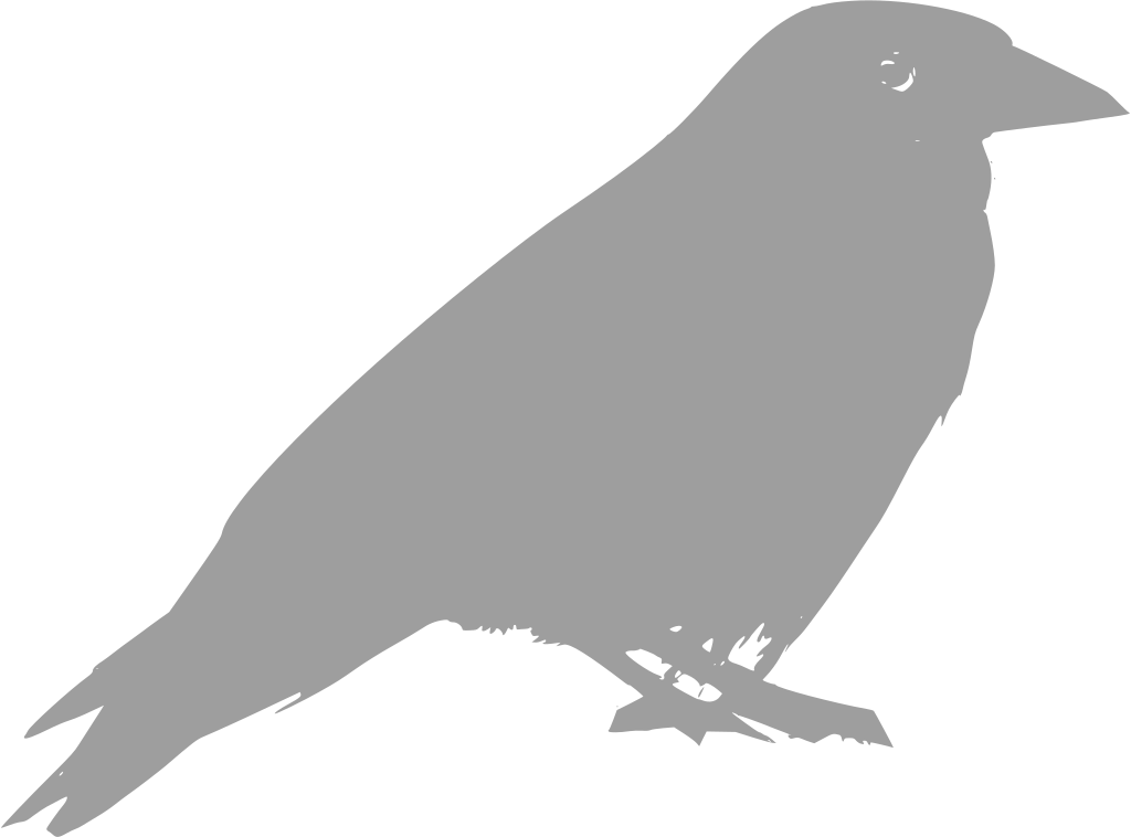 Download Png - Clipart Raven (1024x758), Png Download