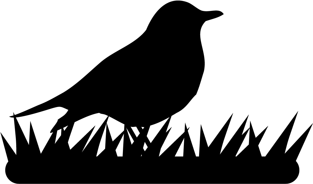 Thrushes - All About Birds (1024x1024), Png Download