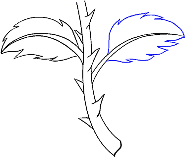 How To Draw Rose With A Stem - Drawing (678x600), Png Download