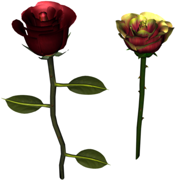 Drakelot Rose And Willsmind Rose - Garden Roses (589x500), Png Download