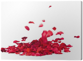 Wedding Music - Various Artists (cd) (400x400), Png Download