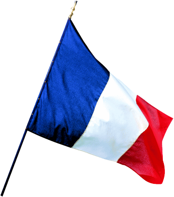 J'ai Une Image En Jpg Du Drapeau Français Que Je Voudrais - French Flag Png (344x389), Png Download