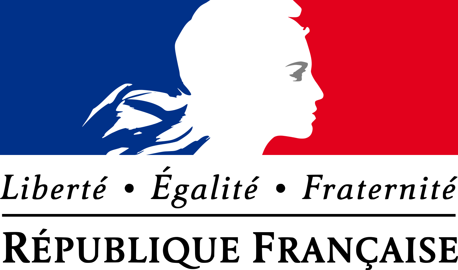 Logo De La République Française - Republic Of France Logo (1538x906), Png Download