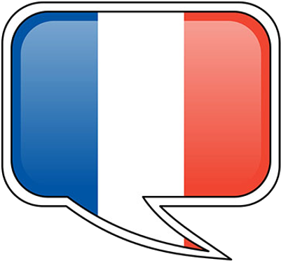 Drapeau Français - Traduction Anglais Francais (430x392), Png Download