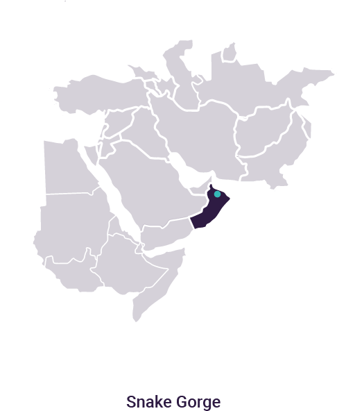 Why We Love Snake Gorge - Al Hoota Cave (521x730), Png Download