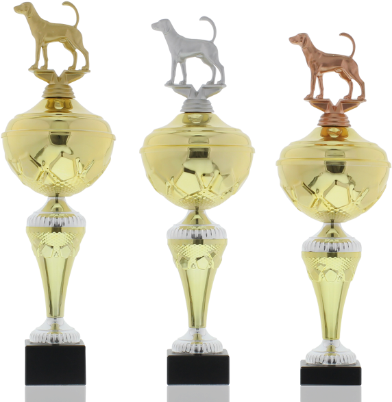 Trophy Series Hans - Hereford Cattle (900x600), Png Download