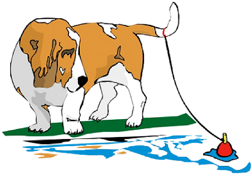 Creekside Kennels Inc - Creekside Kennels, Inc. (494x349), Png Download