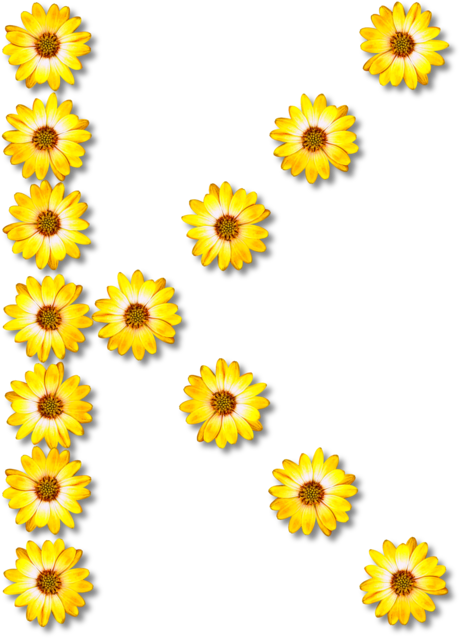 Letter Greek Alphabet Common Sunflower - Flower (537x750), Png Download