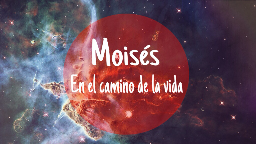 La Historia De Moises - Calling The Night - Crow Art By Sharon Cummings (1024x748), Png Download