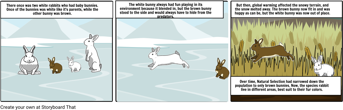 Download Rabbit Natural Selection - Cartoon - Full Size PNG Image - PNGkit