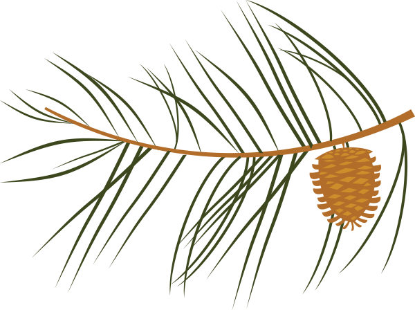 Leaf (600x448), Png Download