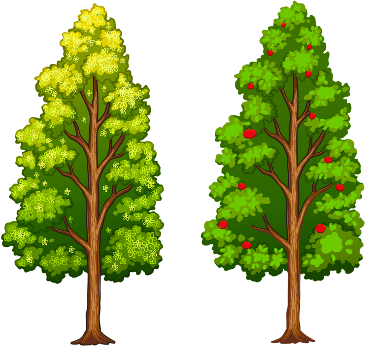 Фотки Tree Leaves, Tree Of Life, Flower Clips, Paper - Diferentes Tipos De Árvores (800x729), Png Download