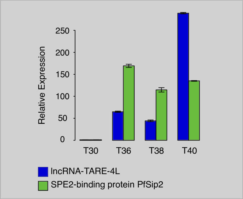 Qrt Pcr Amplification Of Lncrna Tare 4l And The Spe2 - Pardis Sabeti (850x696), Png Download