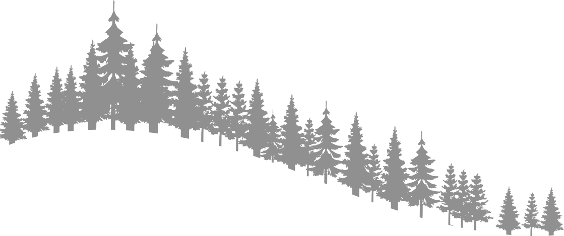 Cherry Ridge Retreat - Shortleaf Black Spruce (1119x469), Png Download