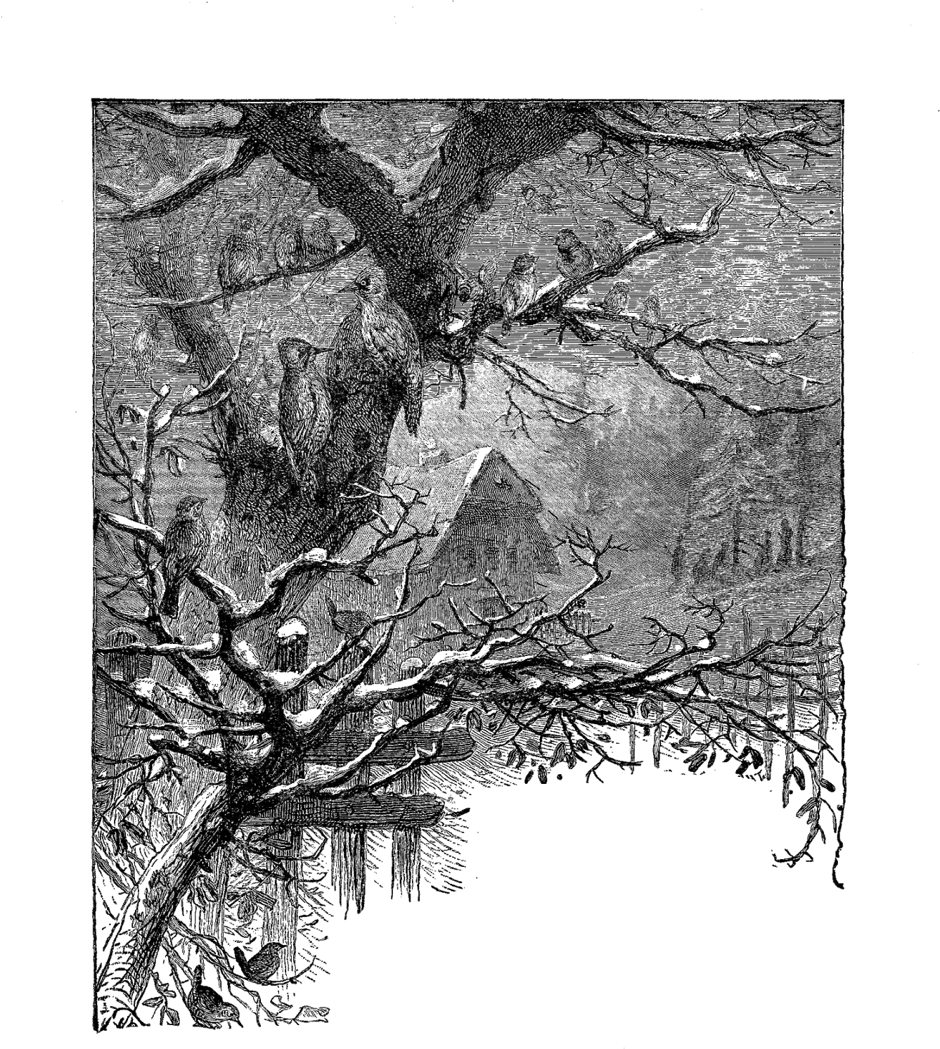 Winter Is Coming The Chilly, Autumn Mornings Will Soon - Digital Stamp (1352x1600), Png Download