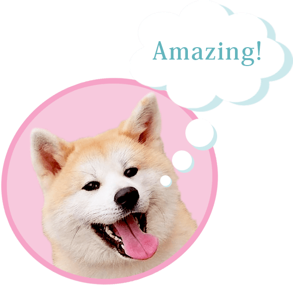 For The Master A Model - Dog Yawns (600x600), Png Download