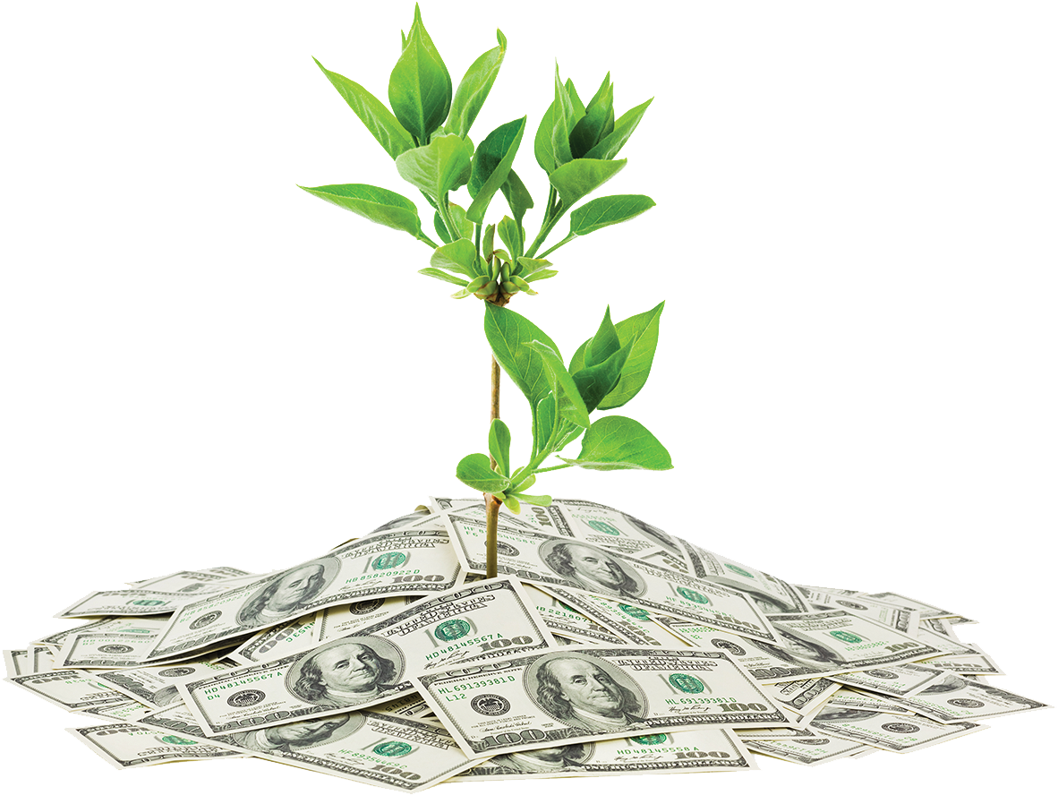 Wealth Png Transparent Image - Pays To Be Green (1293x970), Png Download