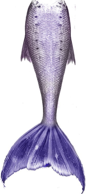 Mermaid Tail Free Download Png - Artsadd Stylish And Customized Soft And Comfortable (500x900), Png Download