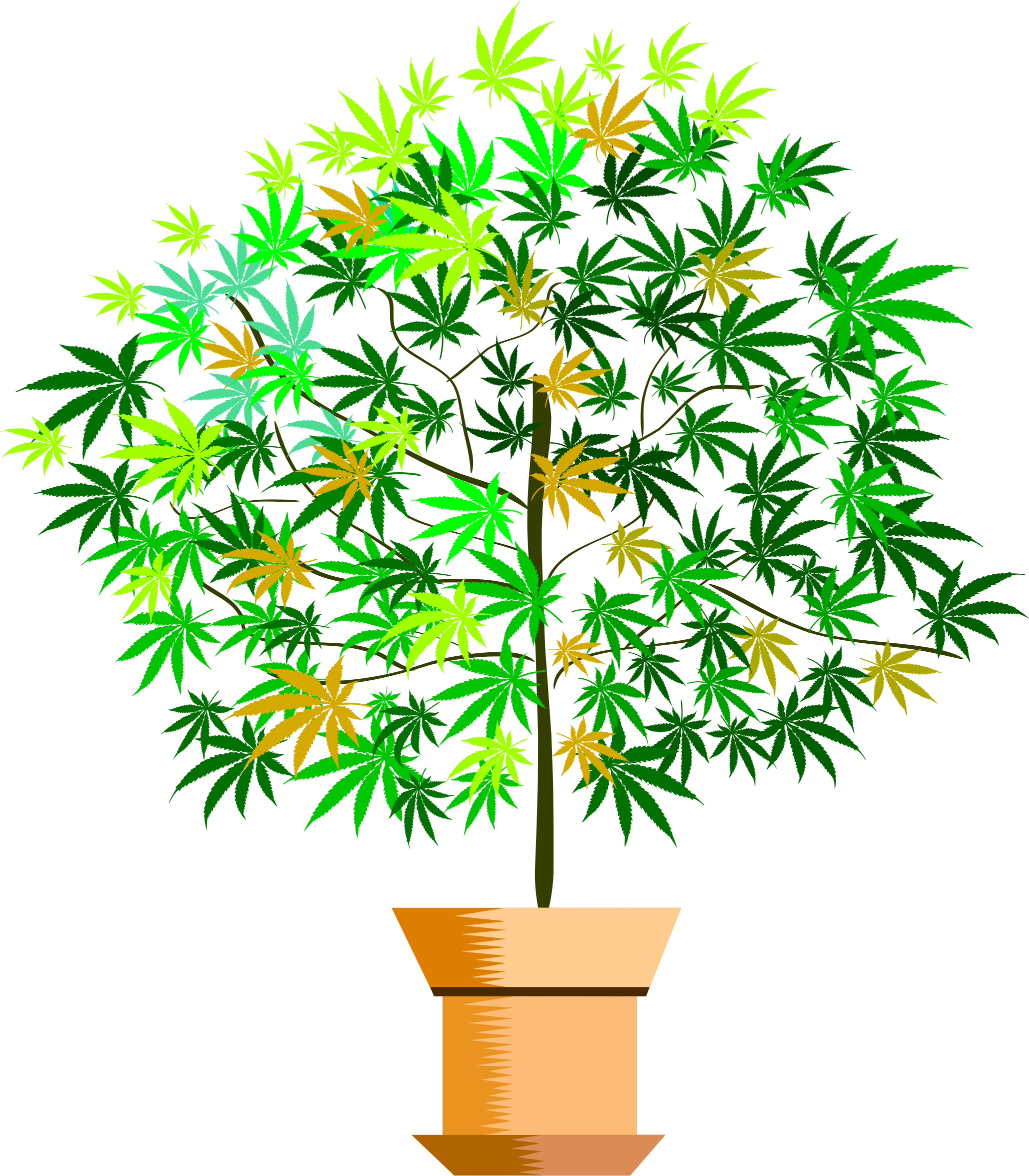 A Potted Plant Clip Art Stock - Vector Graphics (2058x2351), Png Download