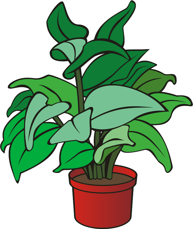 Medium Image - Clipart Picture Of Plant (668x793), Png Download