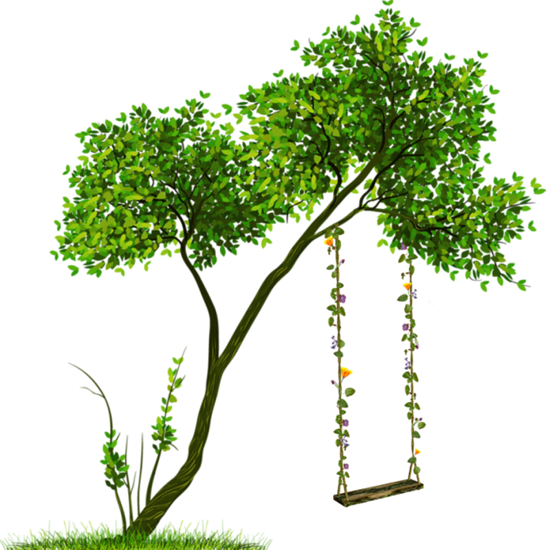 Clipart Png Format Tree Png (794x800), Png Download