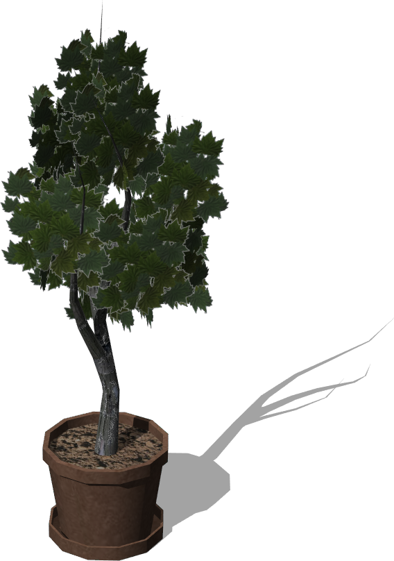 Pottedtree - Gambel Oak (568x808), Png Download