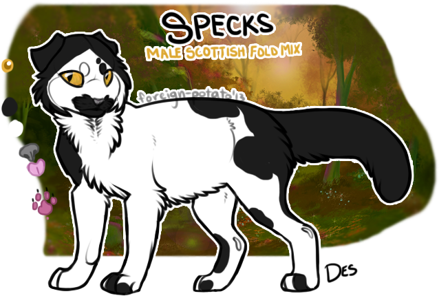 Profile - Cartoon (700x552), Png Download