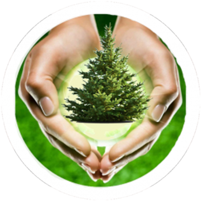 Transcarpathians Are Urged To Buy For Winter Holidays - Hand (420x419), Png Download