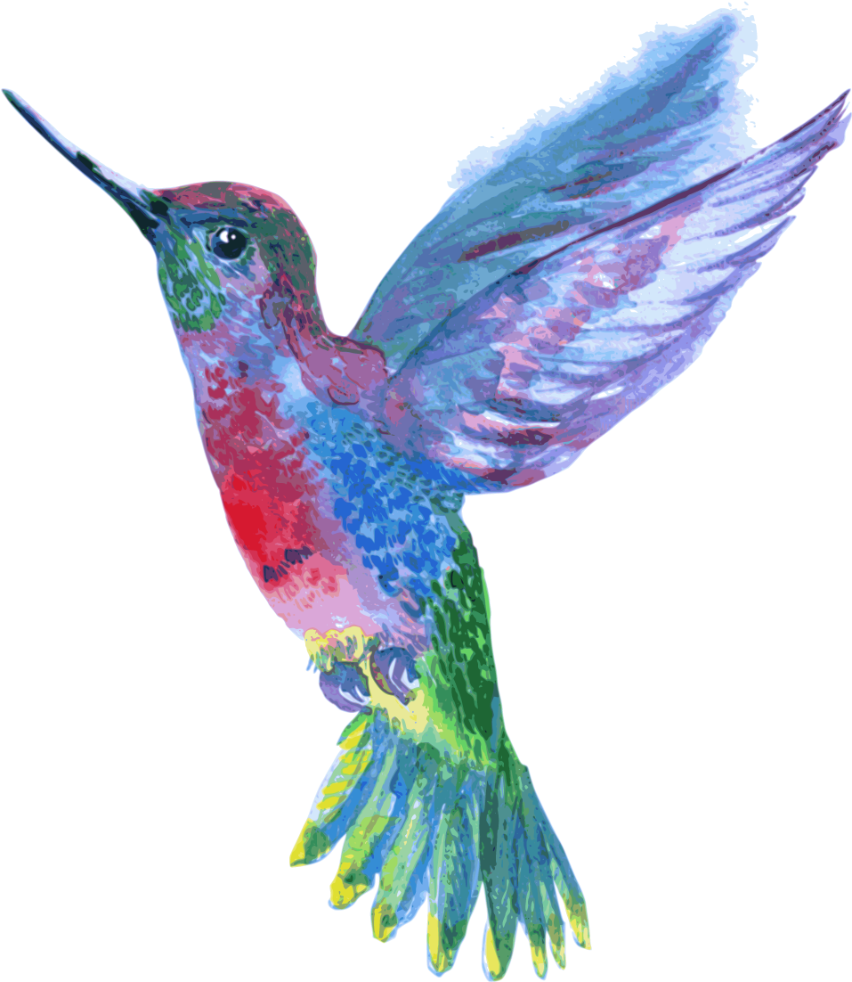 Hummingbird Drawing (1200x1200), Png Download