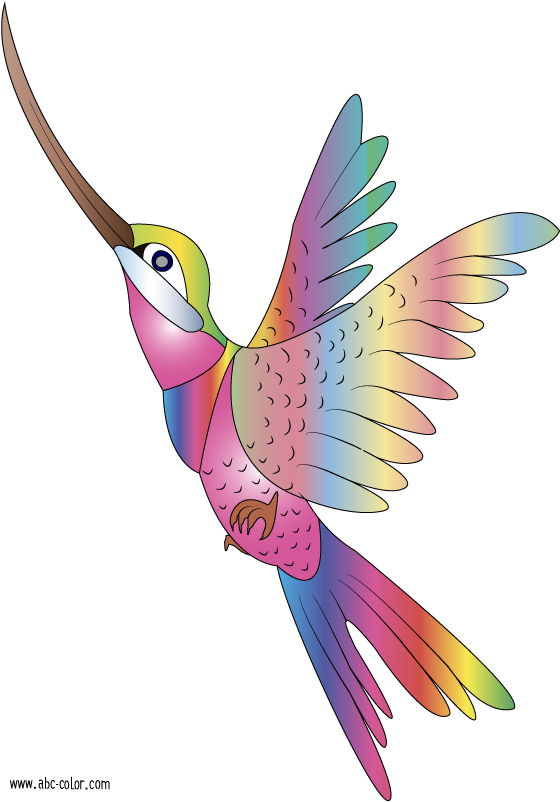 Bird Clipart - Colibri De Colores Animado (567x822), Png Download